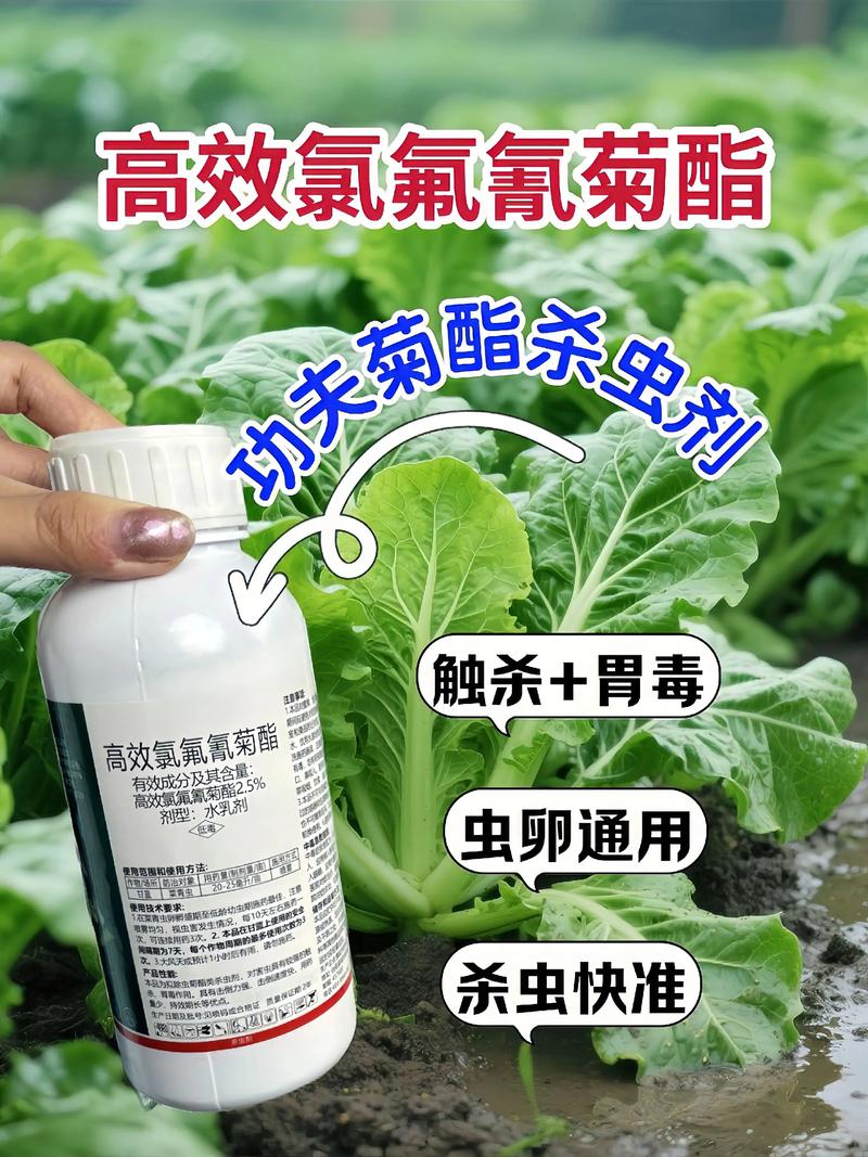 临夏代生中心:农药对供卵代生妈妈的危害